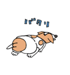 ジャックラッセルテリアちゃん0（個別スタンプ：18）