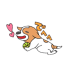 ジャックラッセルテリアちゃん0（個別スタンプ：24）
