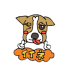 ジャックラッセルテリアちゃん0（個別スタンプ：30）