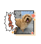まるっくす★ろーる（個別スタンプ：11）