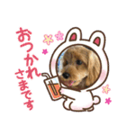 まるっくす★ろーる（個別スタンプ：14）