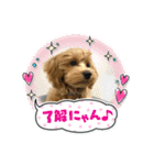 まるっくす★ろーる（個別スタンプ：15）
