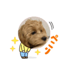 まるっくす★ろーる（個別スタンプ：20）