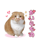 ももなつまみこは（個別スタンプ：1）