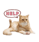 ももなつまみこは（個別スタンプ：2）