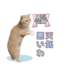 ももなつまみこは（個別スタンプ：4）