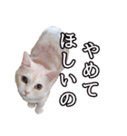 ももなつまみこは（個別スタンプ：10）
