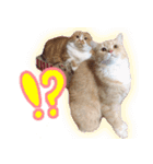 ももなつまみこは（個別スタンプ：13）
