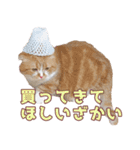 ももなつまみこは（個別スタンプ：14）
