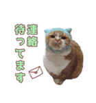 ももなつまみこは（個別スタンプ：17）