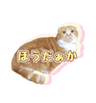 ももなつまみこは（個別スタンプ：20）