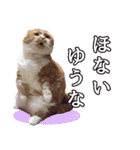 ももなつまみこは（個別スタンプ：21）