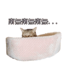 ももなつまみこは（個別スタンプ：24）