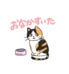 三毛猫ぴすけ（個別スタンプ：8）