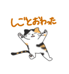 三毛猫ぴすけ（個別スタンプ：10）