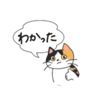 三毛猫ぴすけ（個別スタンプ：12）