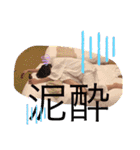 普段使いな西村スタンプ（個別スタンプ：11）