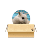ハム＆チーズ（個別スタンプ：4）