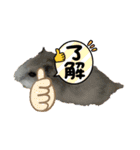 ハム＆チーズ（個別スタンプ：10）