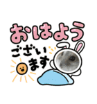 ハム＆チーズ（個別スタンプ：18）