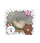 ハム＆チーズ（個別スタンプ：21）