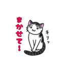 ゆるっと猫ちゃんの日常あいさつ（個別スタンプ：5）