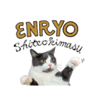 はちわれねこアグちゃんスタンプ2（個別スタンプ：1）