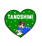 はちわれねこアグちゃんスタンプ2（個別スタンプ：11）