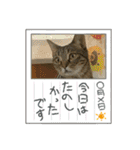 きいのスタンプ・2（個別スタンプ：1）