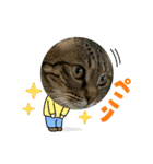 きいのスタンプ・2（個別スタンプ：12）