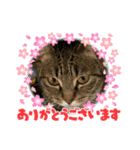 きいのスタンプ・2（個別スタンプ：13）