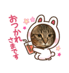 きいのスタンプ・2（個別スタンプ：23）