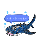 ジンベエザメのきもち（個別スタンプ：3）