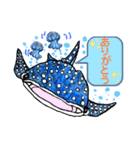 ジンベエザメのきもち（個別スタンプ：5）