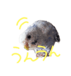 すけかく2（個別スタンプ：4）