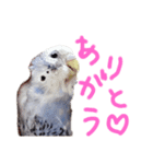 すけかく2（個別スタンプ：8）