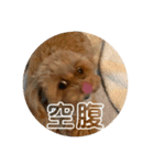 もるちゃんのスタンプ（個別スタンプ：15）