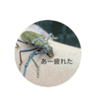 Ilike虫（個別スタンプ：2）