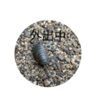 Ilike虫（個別スタンプ：6）