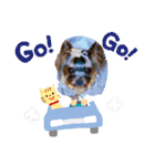 田頭わんにゃん（個別スタンプ：3）