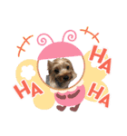 田頭わんにゃん（個別スタンプ：8）