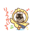 田頭わんにゃん（個別スタンプ：12）