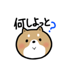 宮崎弁のまめしば（個別スタンプ：24）