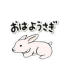 動物のだじゃれ(あかね絵)（個別スタンプ：22）