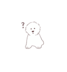 いろんなイヌとアニマル（個別スタンプ：1）