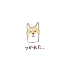 いろんなイヌとアニマル（個別スタンプ：8）