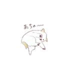 いろんなイヌとアニマル（個別スタンプ：15）