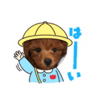 杏#01（個別スタンプ：2）