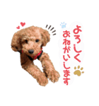 杏#01（個別スタンプ：8）