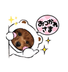 杏#01（個別スタンプ：9）